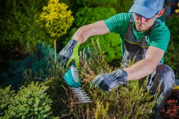 landscaping services Vancleave